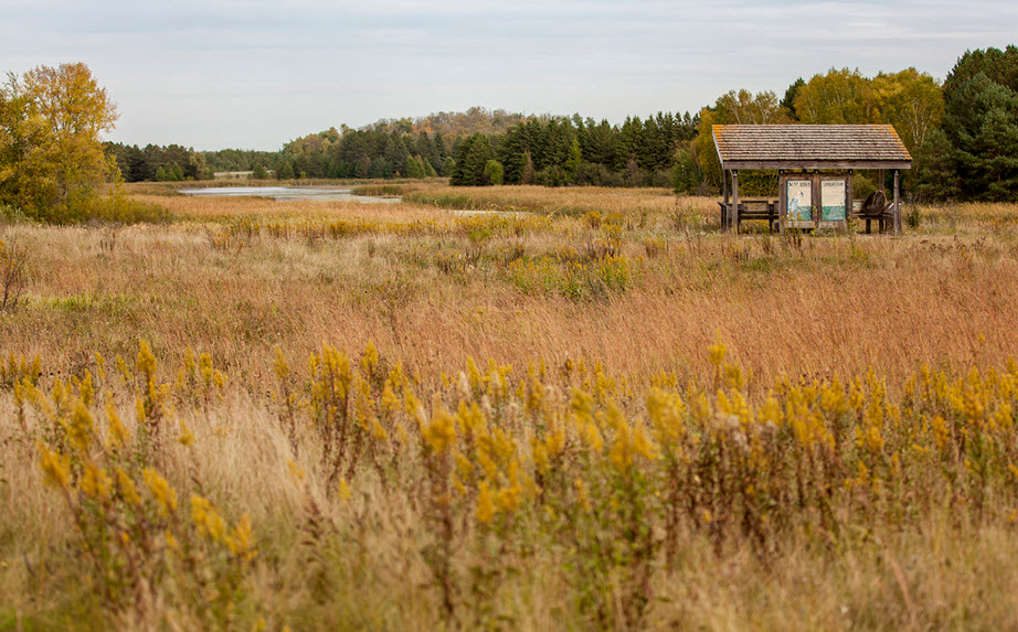 Saint John's Abbey Arboretum, United States